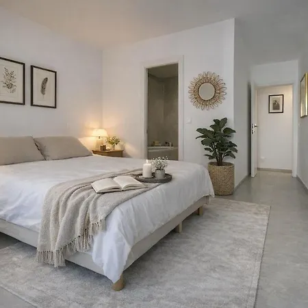Cozy 3 Bedrooms Cannes